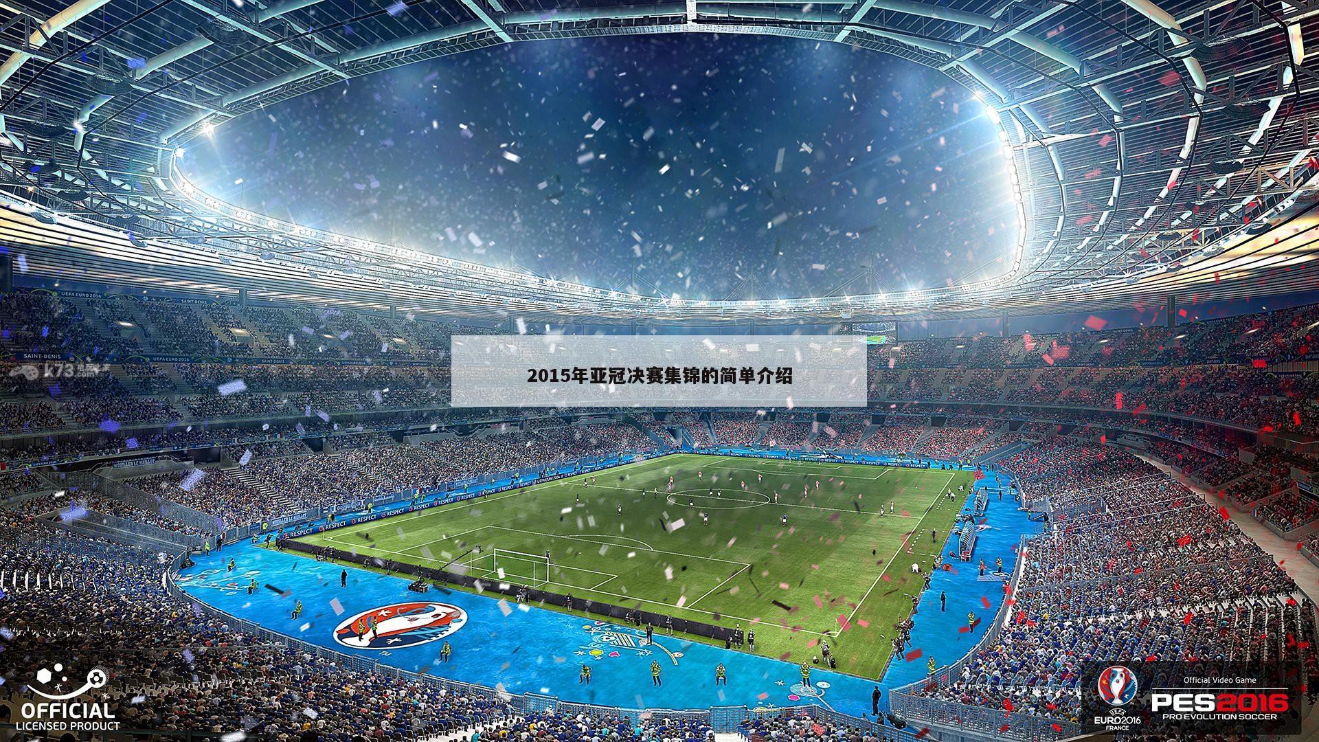 2015年亚冠决赛集锦的简单介绍