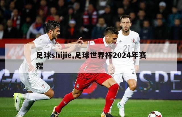 足球shijie,足球世界杯2024年赛程