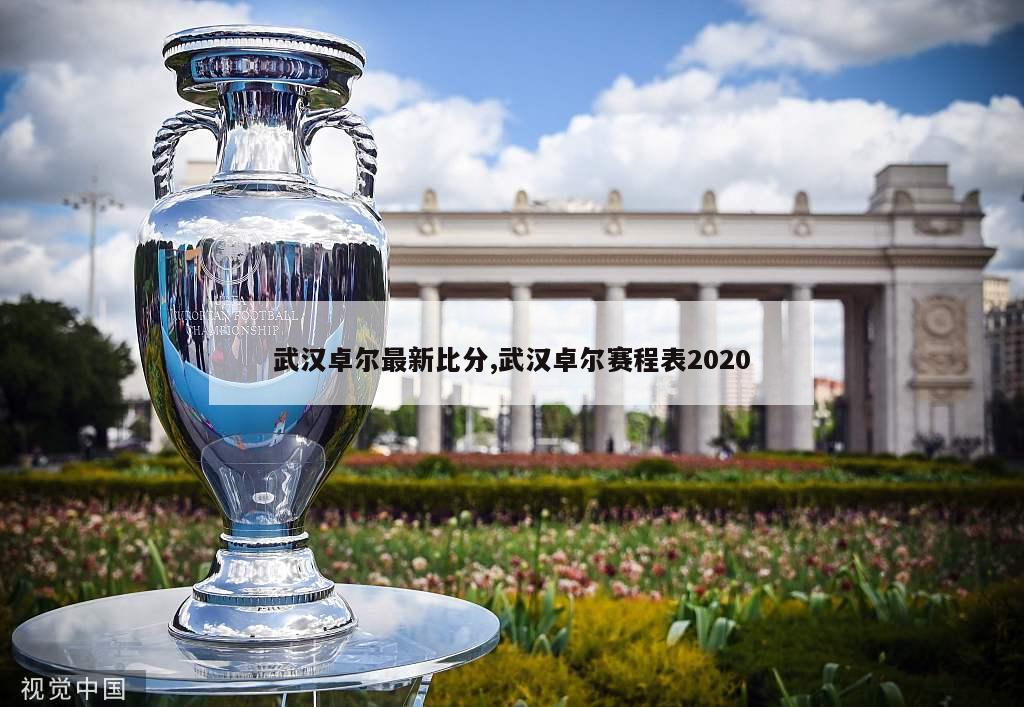 武汉卓尔最新比分,武汉卓尔赛程表2020