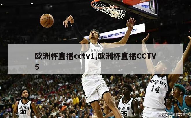 欧洲杯直播cctv1,欧洲杯直播CCTV5